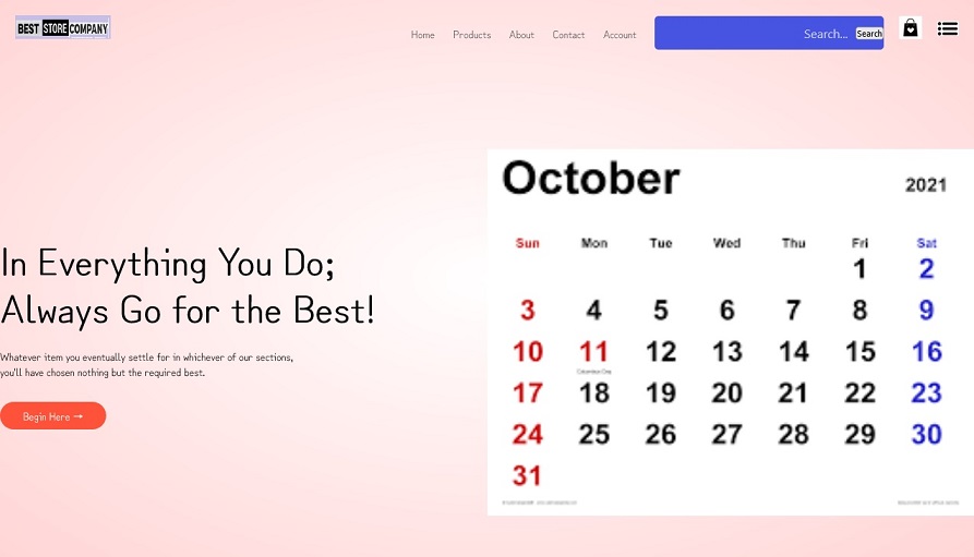 Preview of the e-commerce storefront
